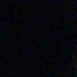 Meet your Posher, Layton